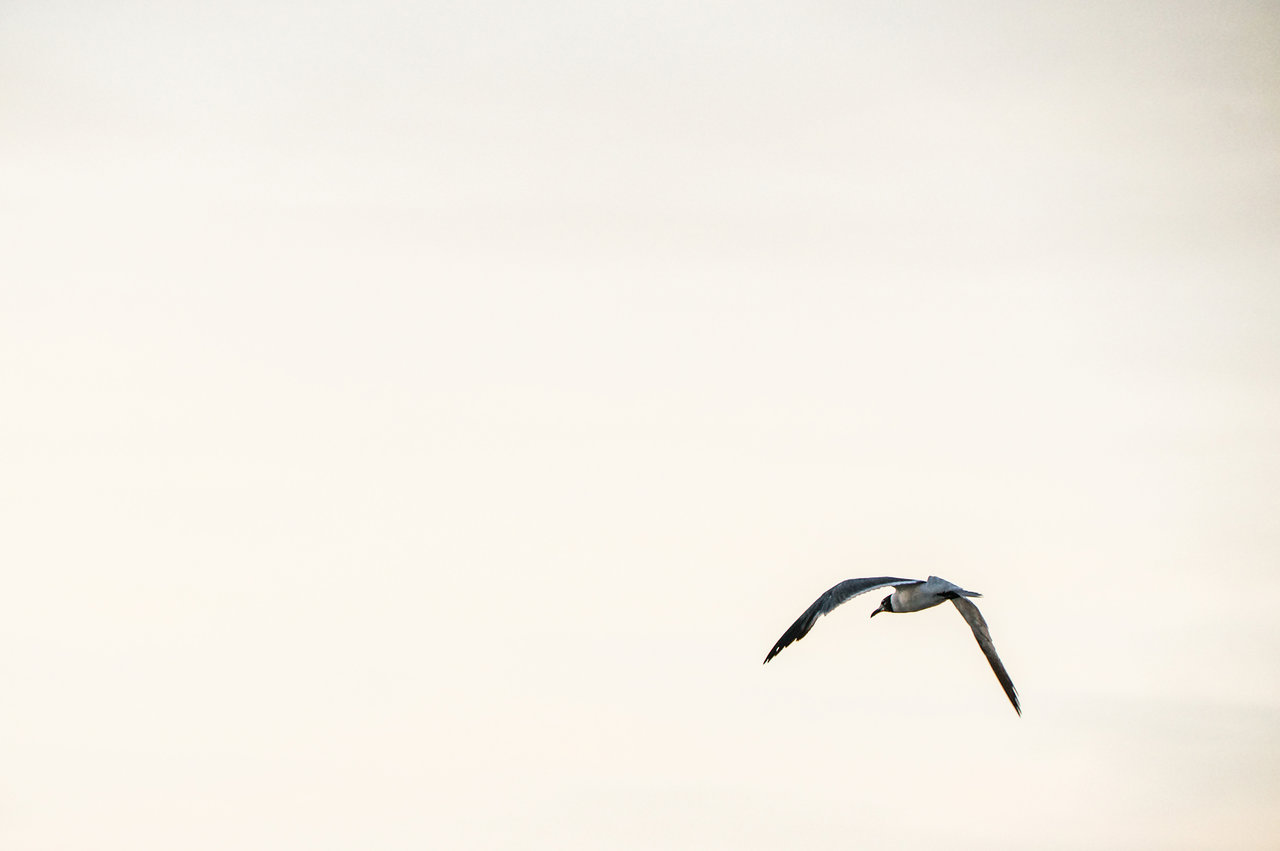 why I started - Ester Slokar