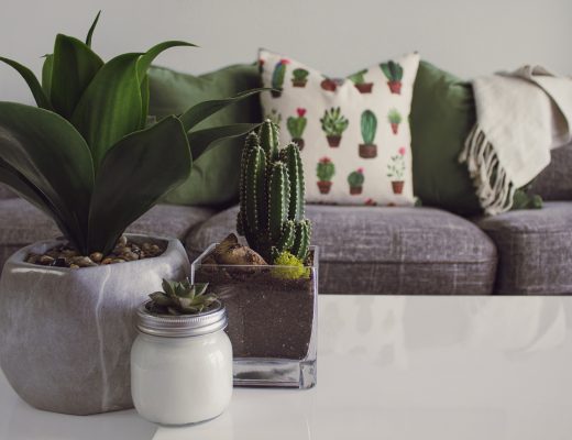home decor